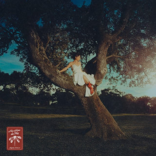 mafalda cardenal - mis notas de voz album cover
