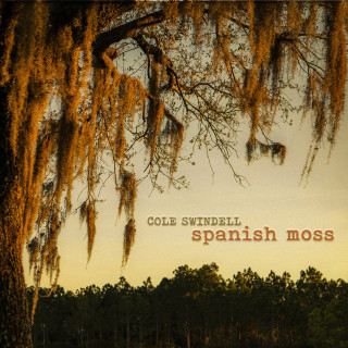 Cole Swindell - Spanish Moss album cover