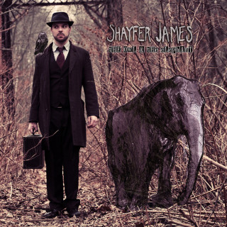Shayfer James - The Owl & The Elephant album cover