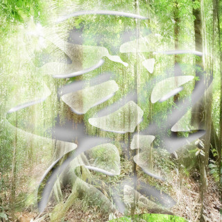 2hollis - Tree EP cover