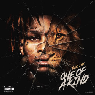 BAK Jay - One Of A Kind album cover