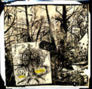 Deerhoof - Dirt Pirate Creed album cover