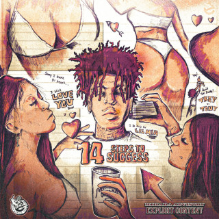 Lil Tony Official - 14 Steps To Success album cover