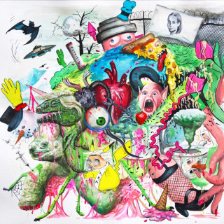 Tropical Fuck Storm - Braindrops album cover