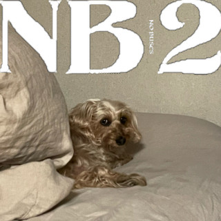No Buses - NB2 album cover