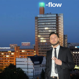 Pashanim - grünewürfelflow mixtape cover
