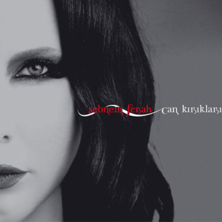 Şebnem Ferah - Can Kırıkları album cover