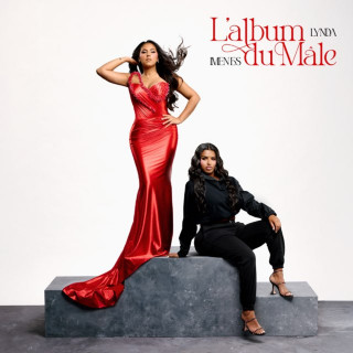 Lynda - L'album Du Mâle album cover