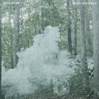 Avi Kaplan - Move Our Souls album cover