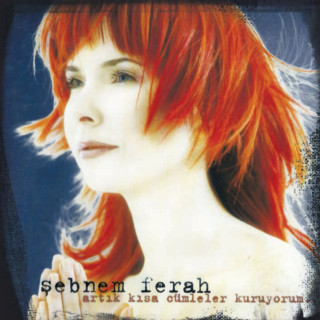Şebnem Ferah - Artık Kısa Cümleler Kuruyorum album cover