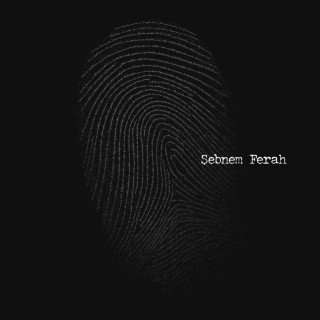 Şebnem Ferah - Parmak İzi album cover