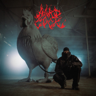 rów babicze - HARD COCK album cover