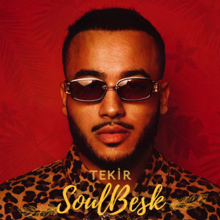 Tekir, Asil Slang & Mert Şenel - SoulBesk album cover