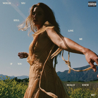 FLETCHER - Would You Still Love Me If You Really Knew Me? album cover