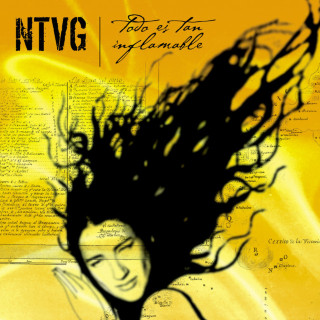 No Te Va Gustar - Todo Es Tan Inflamable album cover