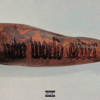 Fimiguerrero - New World Order album cover