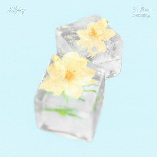 N.Flying - Everlasting album cover