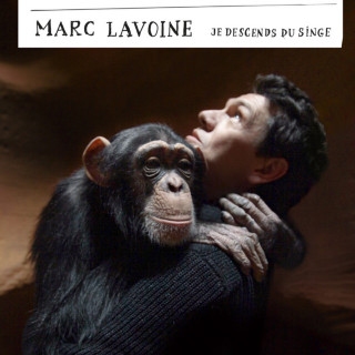 Marc Lavoine - Je Descends Du Singe album cover