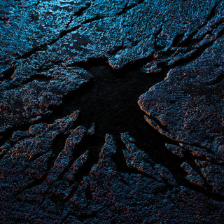 ISHA - Drôle D'oiseau album cover