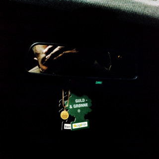 Noah Carter - Guld & Grønne album cover