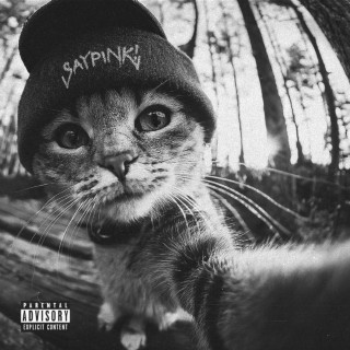 saypink! - тетрадка с рэпом EP cover