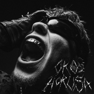 Asster - OKO HORUSA album cover