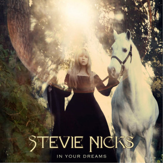 Stevie Nicks - In Your Dreams album cover