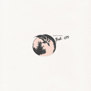 Black Lips - Season Of The Peach album cover