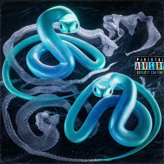 NANE - ÎNCĂ ÎN VIAȚĂ: albumul album cover