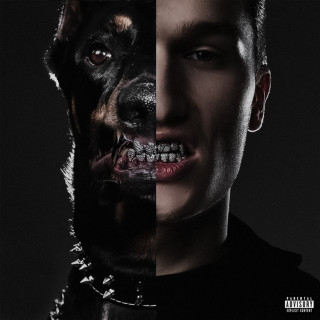 Voskresenskii - Project V album cover