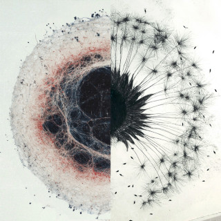 brb. - dandelions EP cover