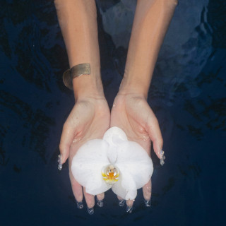 no na - orchids (lullabies) EP cover