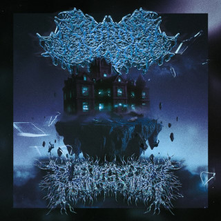 PeelingFlesh - Brainflesh Split split EP cover