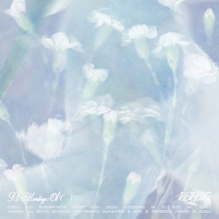 VIVIZ - A Montage Of ( ) album cover