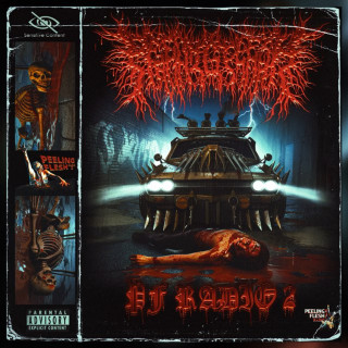 PeelingFlesh - PF Radio 2 album cover