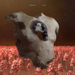 Soap&Skin - TORSO album cover