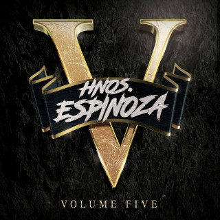 Hermanos Espinoza - HNOS ESPINOZA, VOL. 5 album cover