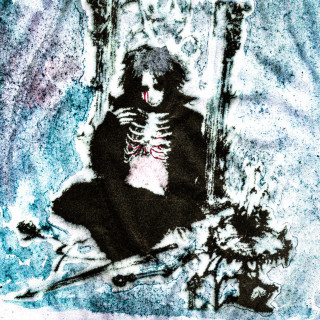 fallen777angel - knight of 1000 faces album cover