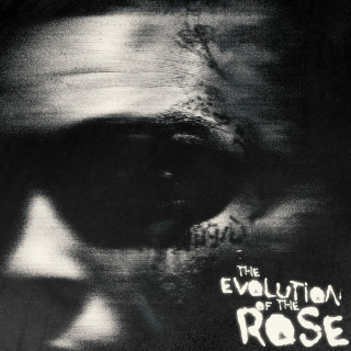 Lil Skies - The Evolution Of The Rose album cover