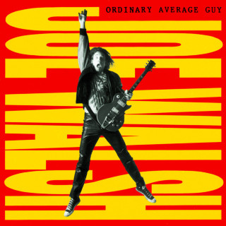 Joe Walsh - Ordinary Average Guy album cover
