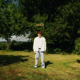 Alfie Castley - Pivotal EP cover