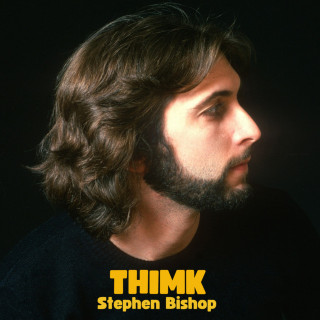 Stephen Bishop - THIMK album cover