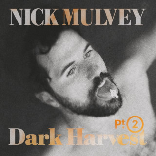 Nick Mulvey - Dark Harvest, Pt. 2 album cover