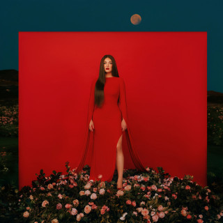 Janine - Pain And Paradise album cover
