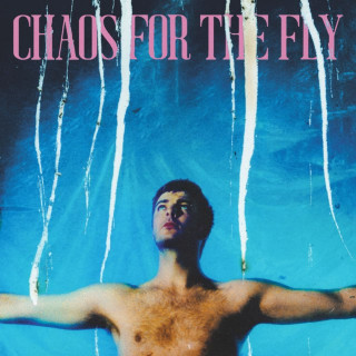 Grian Chatten - Chaos For The Fly album cover