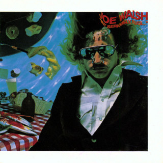 Joe Walsh - But Seriously Folks... album cover