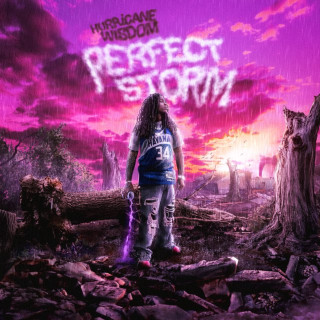 Hurricane Wisdom & Dthang - Perfect Storm album cover
