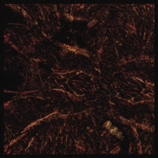 CELL - The Unbearable Form EP cover