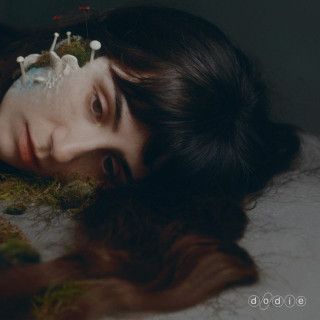 dodie - Not For Lack Of Trying album cover
