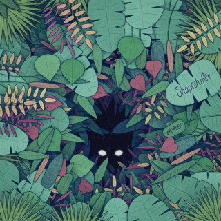 aeseaes - Shapeshifter album cover